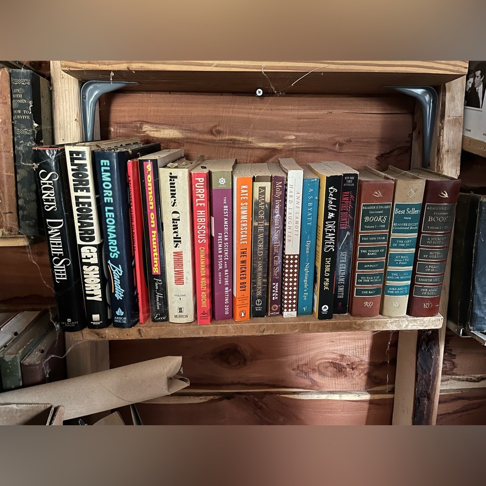 5 lbs books - you pick - mix of genres - some large print - novels, biographies - Picture 12 of 16